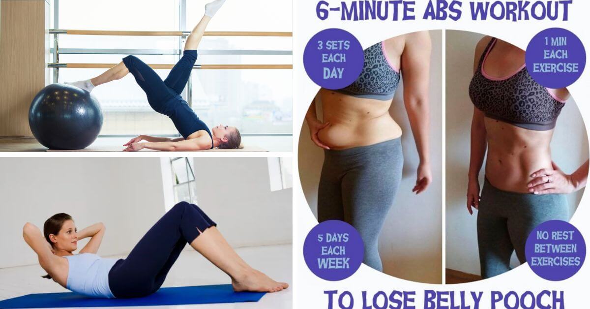 pooch belly exercises
