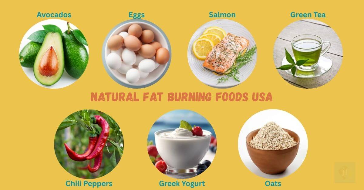 Natural Fat Burning Foods USA